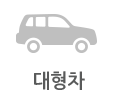 대형
