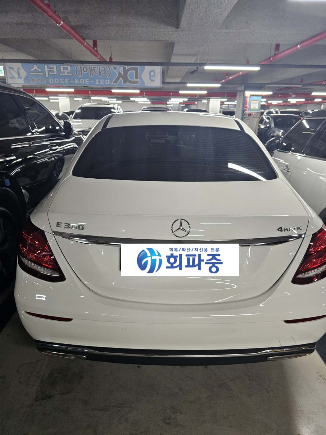 24qjsg16lejs515969.jpg