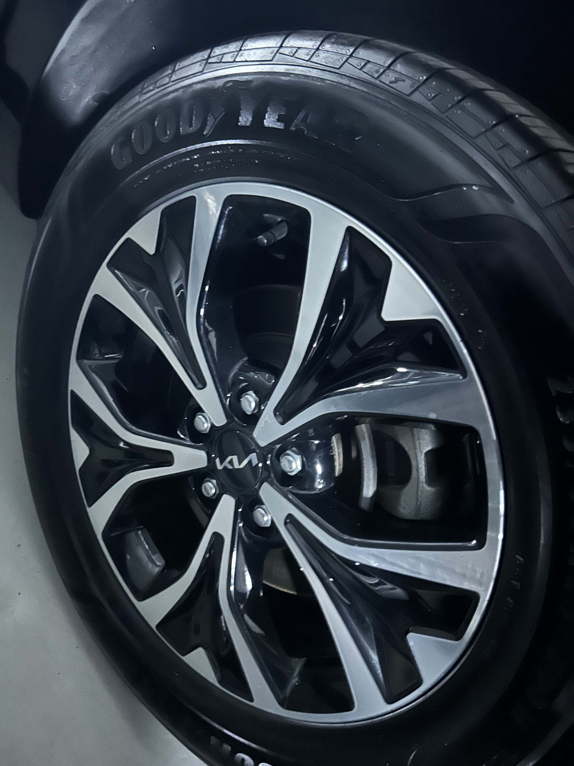 14w8vdii1qd6995385.jpg